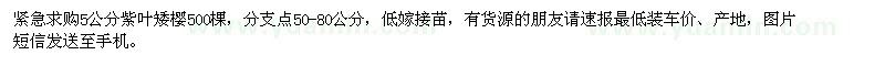 求購5公分紫葉矮櫻