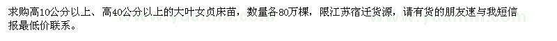 求購高10、40公分以上的大葉女貞床苗