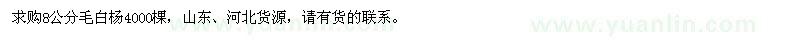 求購(gòu)8公分毛白楊