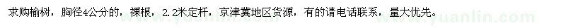 求購胸徑4公分榆樹