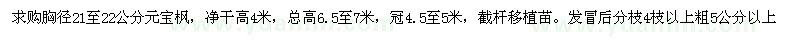 求購胸徑21-22公分元寶楓 