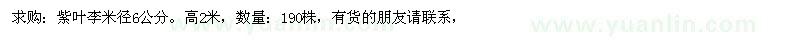求購米徑6公分 紫葉李