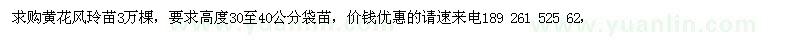 求購(gòu)黃花風(fēng)玲苗