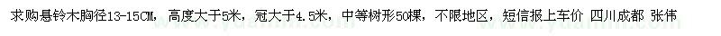 求購胸徑13-15公分、高度大于5米、冠大于4.5米懸鈴木