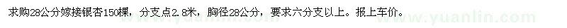 求購28公分嫁接銀杏