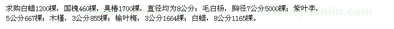 求購(gòu)白蠟、國(guó)槐、臭椿、毛白楊、木槿等苗木