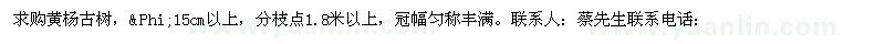求購黃楊古樹