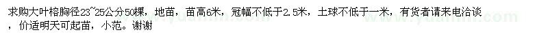 求購大葉榕