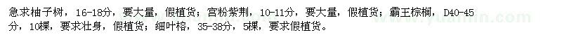 求購柚子樹、宮粉紫荊、霸王棕櫚、細葉榕