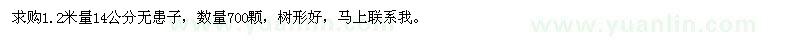 求購1.2米量14公分無患子