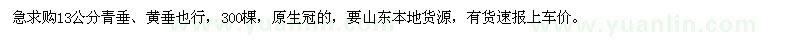 求購13公分青垂、黃垂