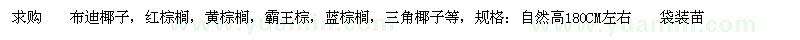 求購(gòu)棕櫚科小苗