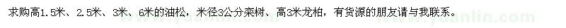 求購油松、欒樹、龍柏