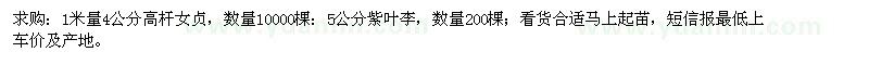 求購高桿女貞、紫葉李