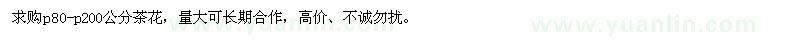 求購(gòu)冠幅80-200公分茶花