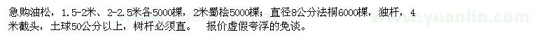 求購1.5-2米和2-2.5米油松、2米蜀檜、8公分法桐