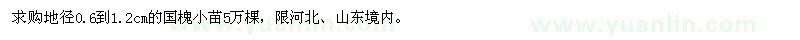 求購地徑0.6-1.2公分國槐小苗