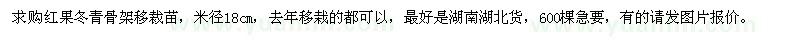 求購紅果冬青骨架移裁苗