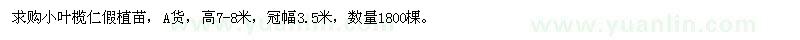 求購小葉欖仁假植苗
