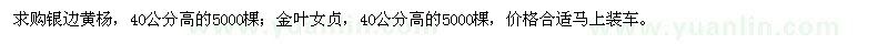 求購(gòu)銀邊黃楊、金葉女貞