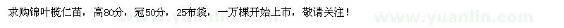 求購錦葉欖仁苗