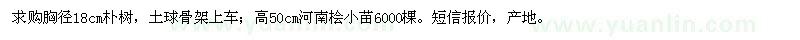 求購胸徑18公分樸樹、高50公分河南檜