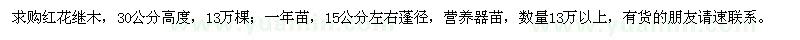 求購高30公分紅花繼木