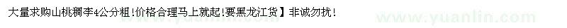 求購4公分粗山桃稠李