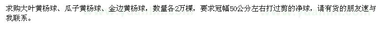 求購(gòu)大葉黃楊球、瓜子黃楊球、金邊黃楊球