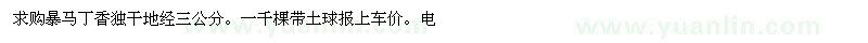 求購(gòu)暴馬丁香