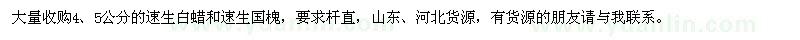 求購4、5公分速生白蠟、速生國槐