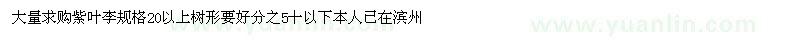求購20公分以上紫葉李