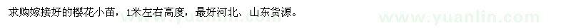 求購高1米櫻花小苗