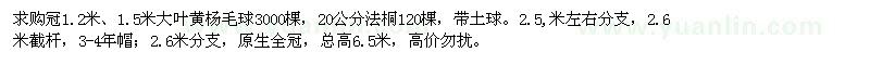 求購大葉黃楊毛球、法桐