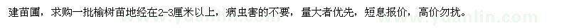 求購2-3公分榆樹苗