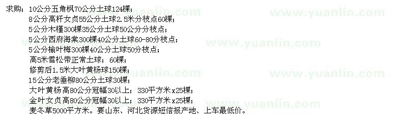 求購(gòu)五角楓、高桿女貞、西府海棠、木槿等