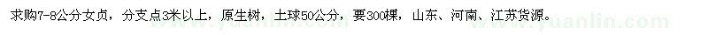 求購7-8公分女貞