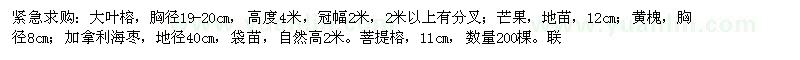 求購大葉榕、芒果、黃槐