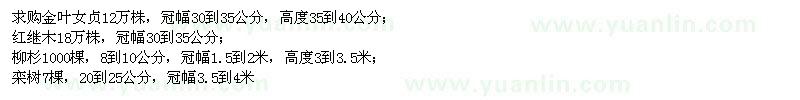 求購(gòu)金葉女貞、紅繼木、欒樹等苗木