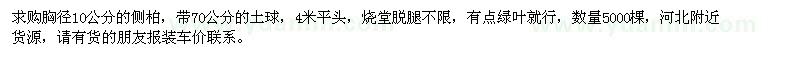 求購胸徑10公分側(cè)柏