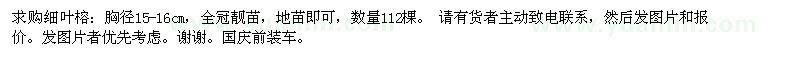 求購細(xì)葉榕（地苗）