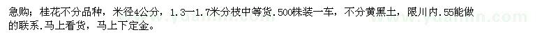 求購(gòu)米徑4公分桂花