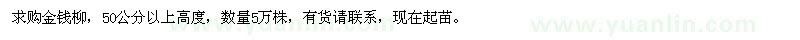 求購50公分高金錢柳