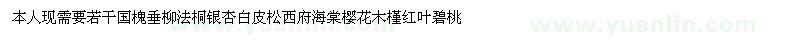 求購國槐、垂柳、法桐