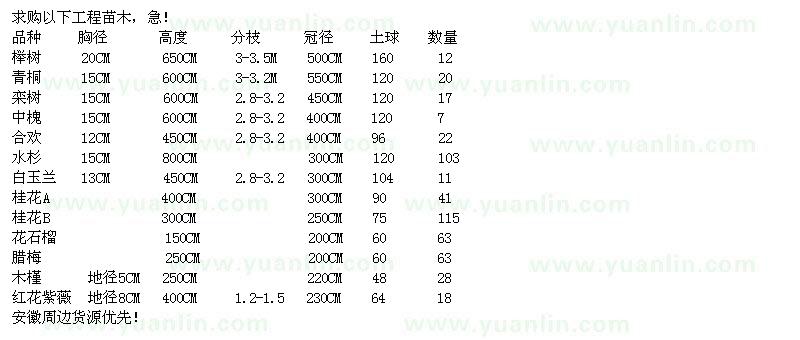 求購櫸樹、青桐、欒樹、中槐等一批綠化工程苗