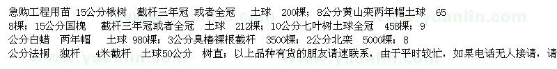 求購(gòu)楸樹(shù)、黃山欒、國(guó)槐等工程用苗