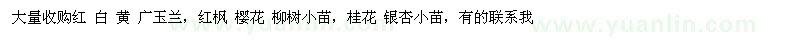 求購紅白黃廣玉蘭、紅楓櫻花柳樹小苗