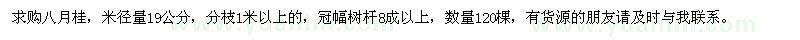 求購19公分八月桂