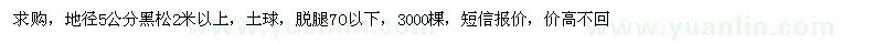 求購地徑5公分黑松