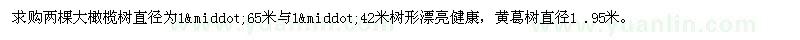 求購大橄欖樹